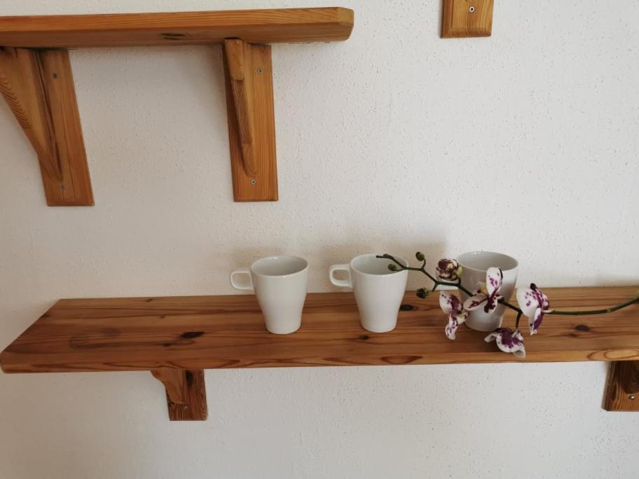 Apartma Lindau Lendava Εξωτερικό φωτογραφία